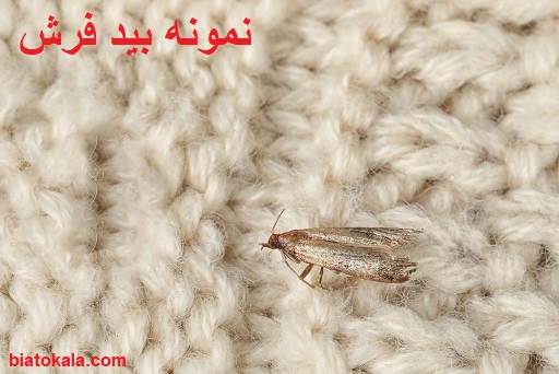 نمونه بید فرش